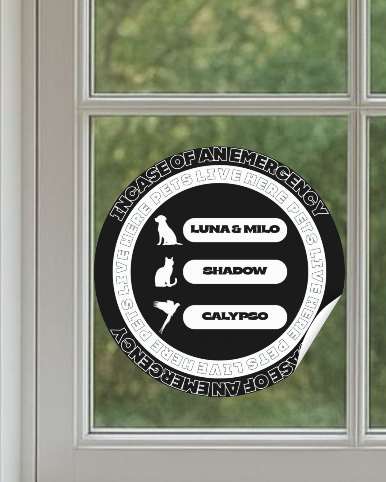 Personalised Pet Rescue | Stickers